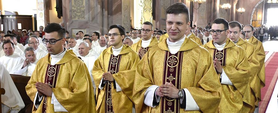 Diecezja świdnicka ma 10 nowych kapłanów